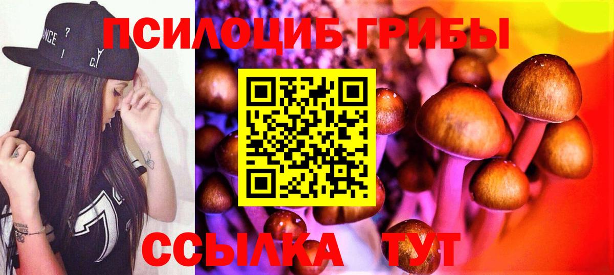 Псилоцибиновые грибы прущие грибы  Вход с VPN  Назрань 